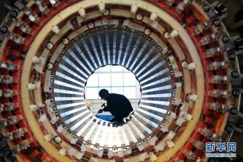 奮斗百年路 啟航新征程丨黑龍江 三大動(dòng)力 的新動(dòng)力