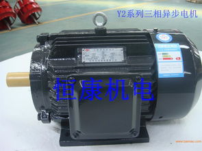 y2系列三相異步電機,y2系列三相異步電機生產(chǎn)廠家,y2系列三相異步電機價格