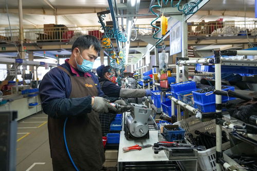 山東文登 外貿(mào)企業(yè)新春生產(chǎn)忙