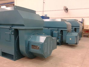 重慶賽力盟電機有限責任公司的電動機制造生產設備